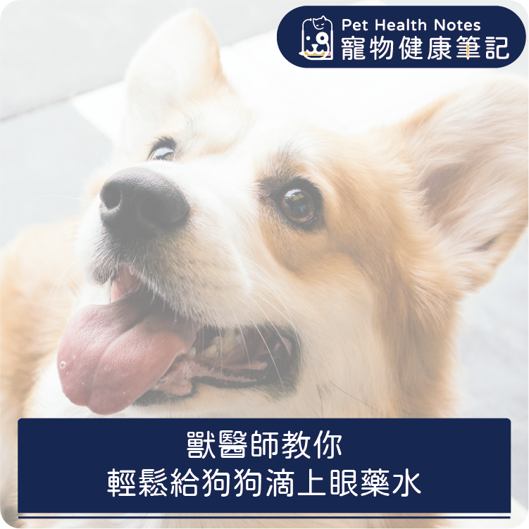 台灣,世界,狗,健康,寵物,品牌,注意,飲食,專業,知識,獸醫,健康食品,寵物健康筆記,眼藥水