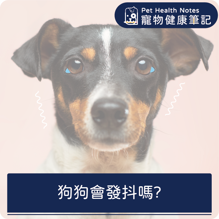 台灣,世界,狗,健康,寵物,品牌,注意,專業,知識,獸醫,健康食品,寵物健康筆記,發抖