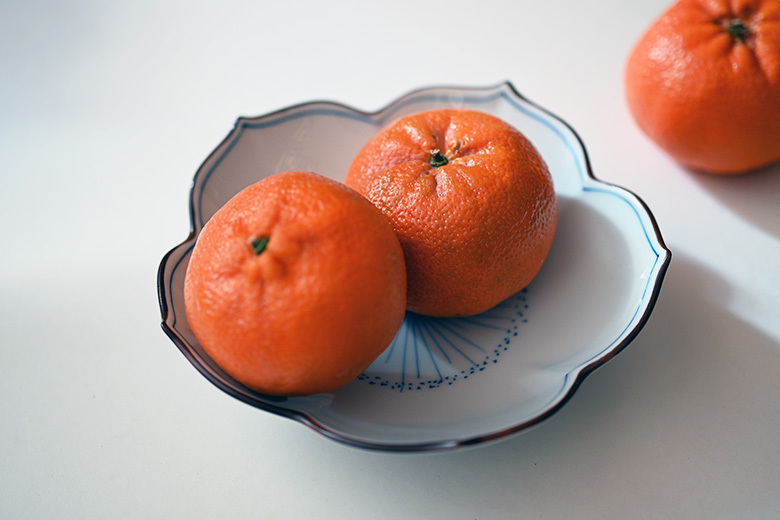 波佐見燒 洸琳窯 手繪桔梗盤