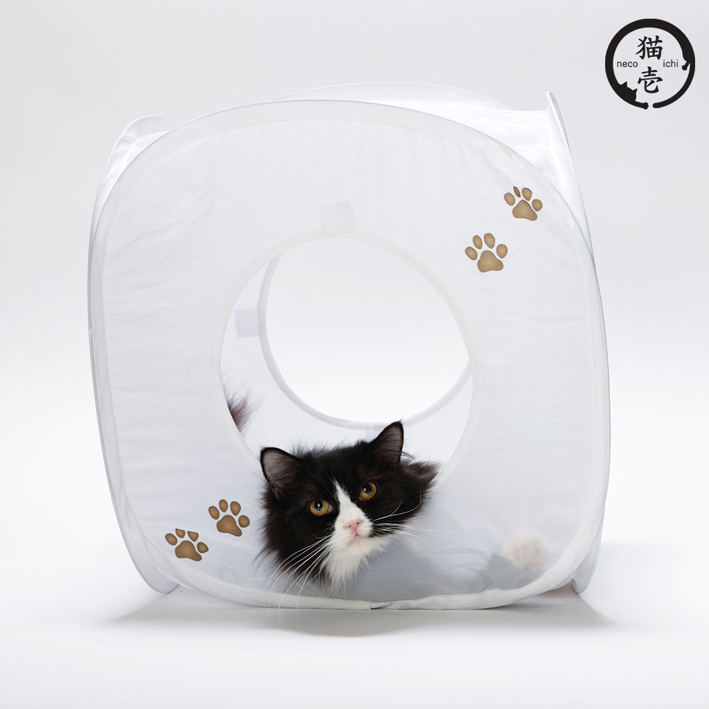 貓壹 魔術方塊 雪花白