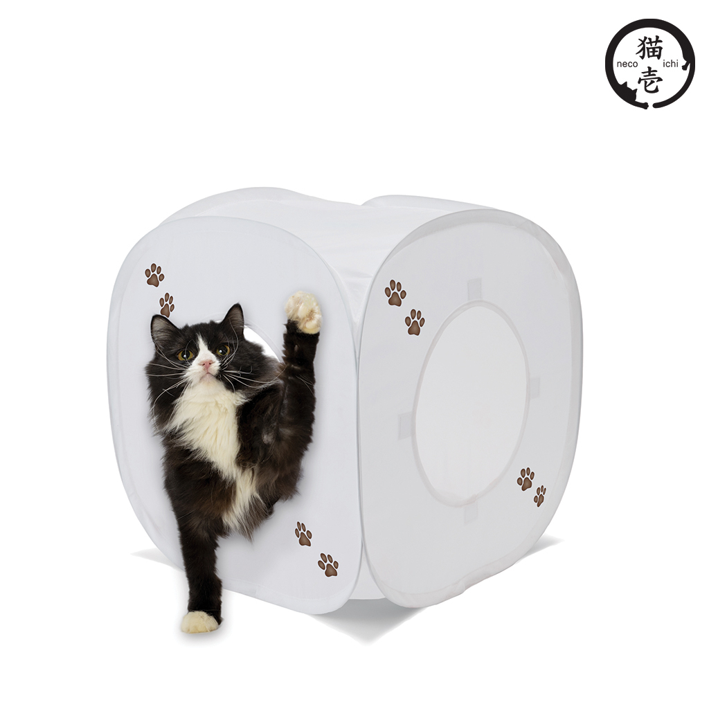 貓壹 魔術方塊 雪花白