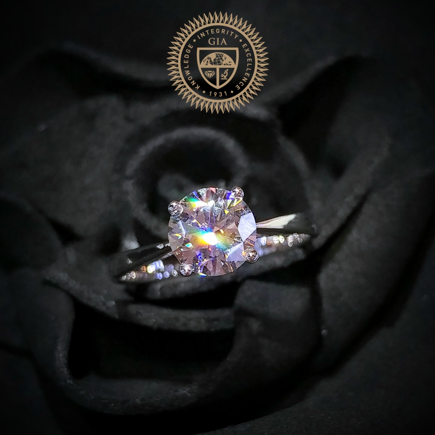 18K White Gold 0.84ct GIA Diamond Ring