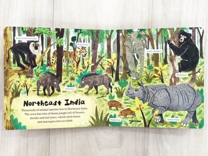 World Around Us Jungle (Boardbook)