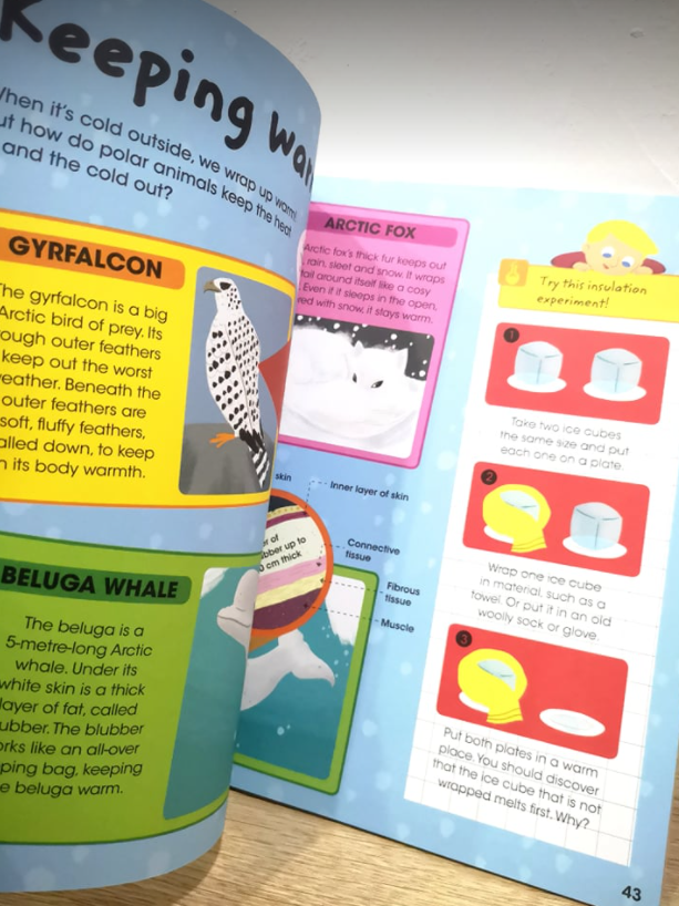 Travel Through The Amazing Wild Animals