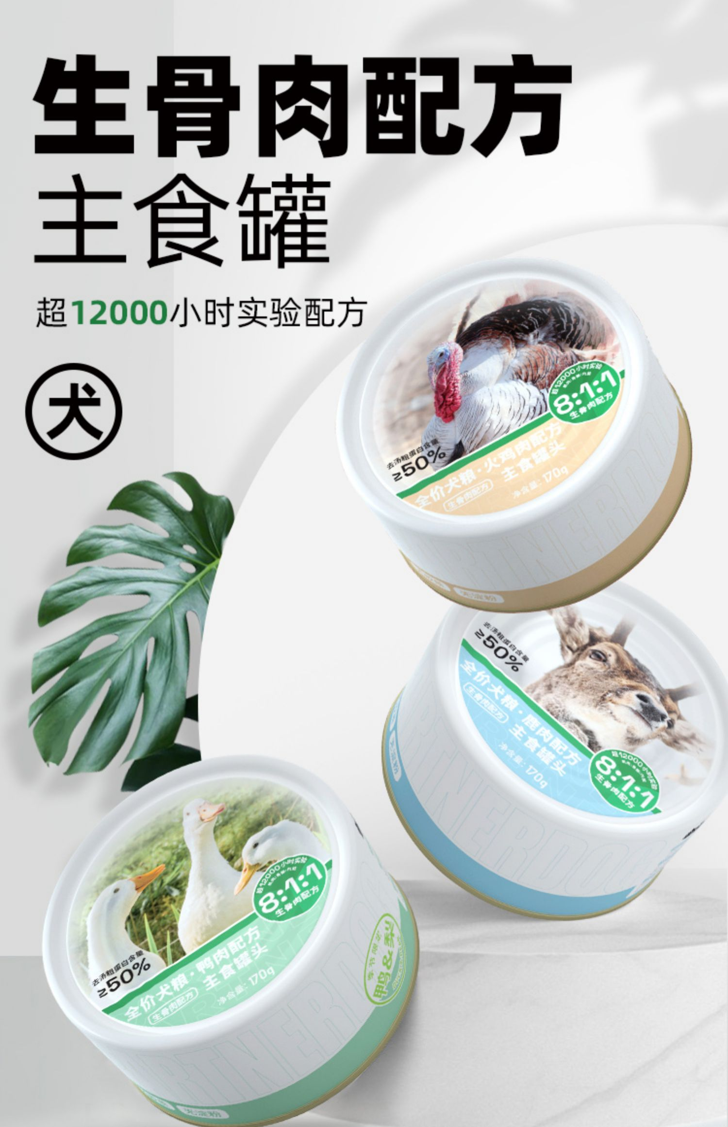 PARTNERPET帕特若尔 主食生骨肉犬罐头 全年龄适用 170gram