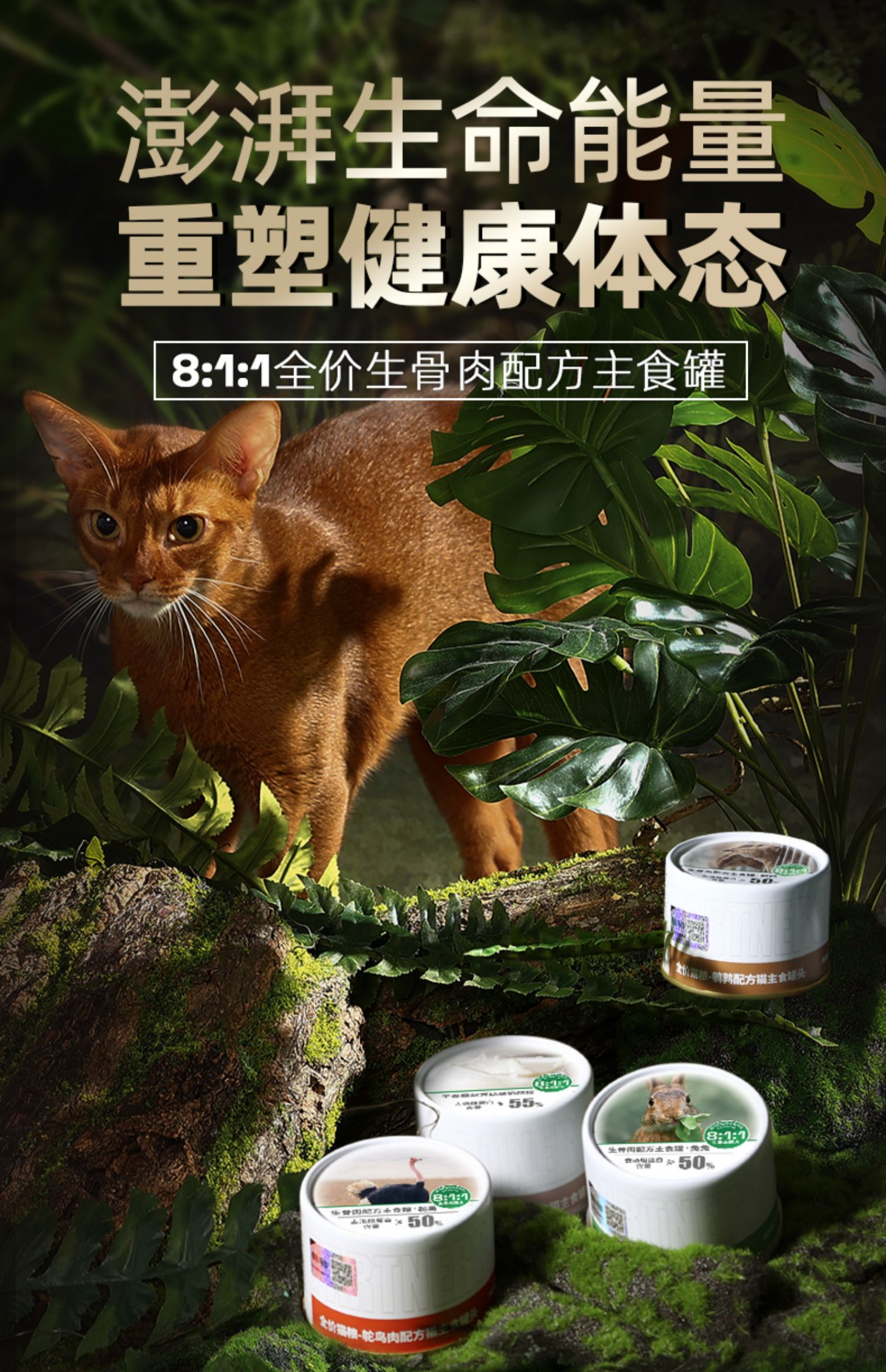 PARTNERPET帕特若尔 主食生骨肉猫罐 全年龄 170gram