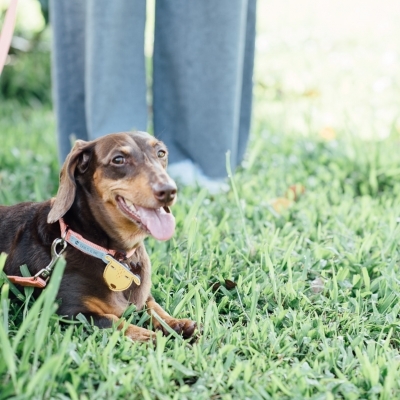 Tails & Me Collar 尼龍雙色項圈 粉橘深棕