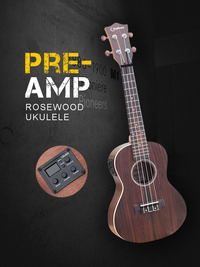 longteam pre-amp rosewood concert tenor ukulele