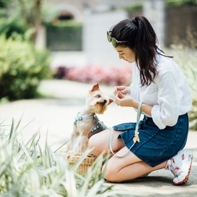 Tails & Me Harness 尼龍胸背帶 XS~L．粉橘薄荷