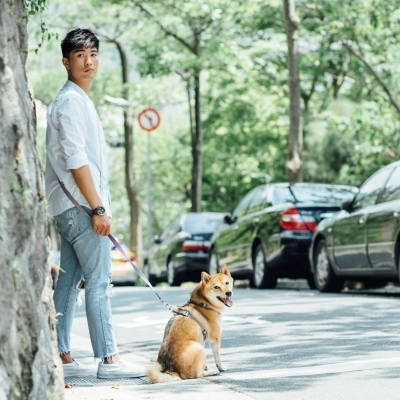 Tails & Me Harness 尼龍胸背帶 XS~L．深紫灰紫