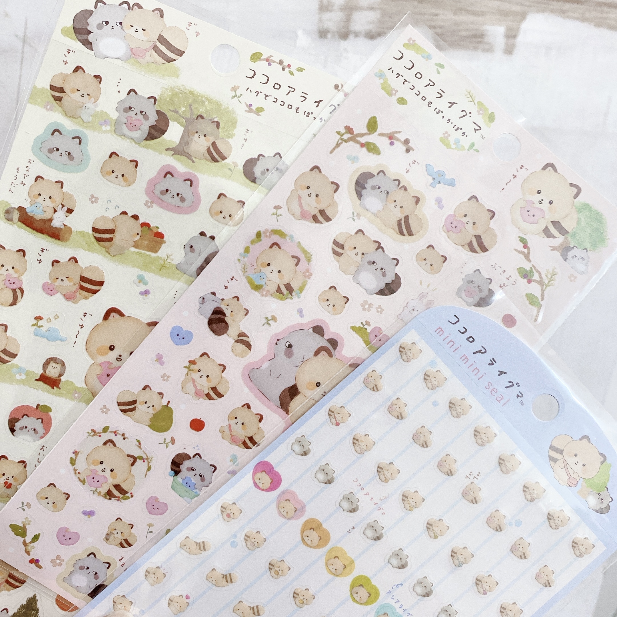 小浣熊 透明貼紙 San-X