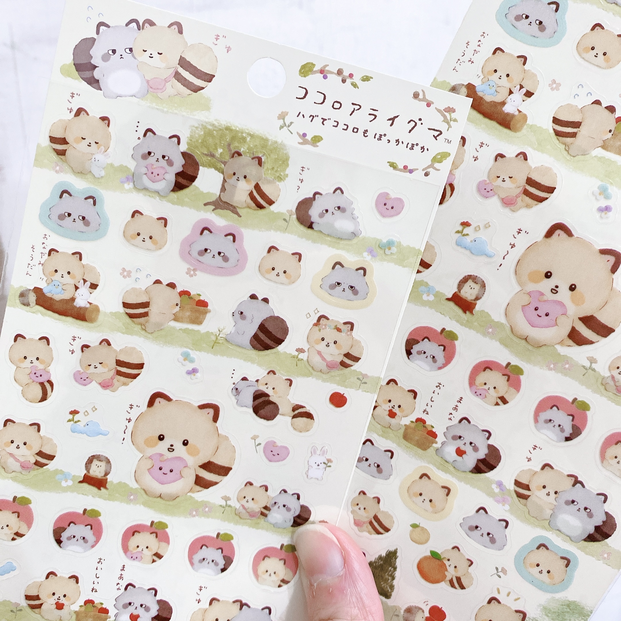 小浣熊 透明貼紙 San-X