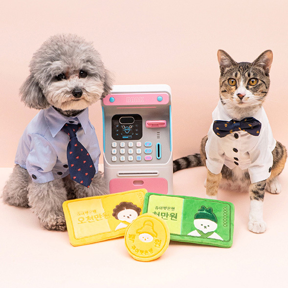 10 Million & 50 Million Won & Coin Catnip Toy