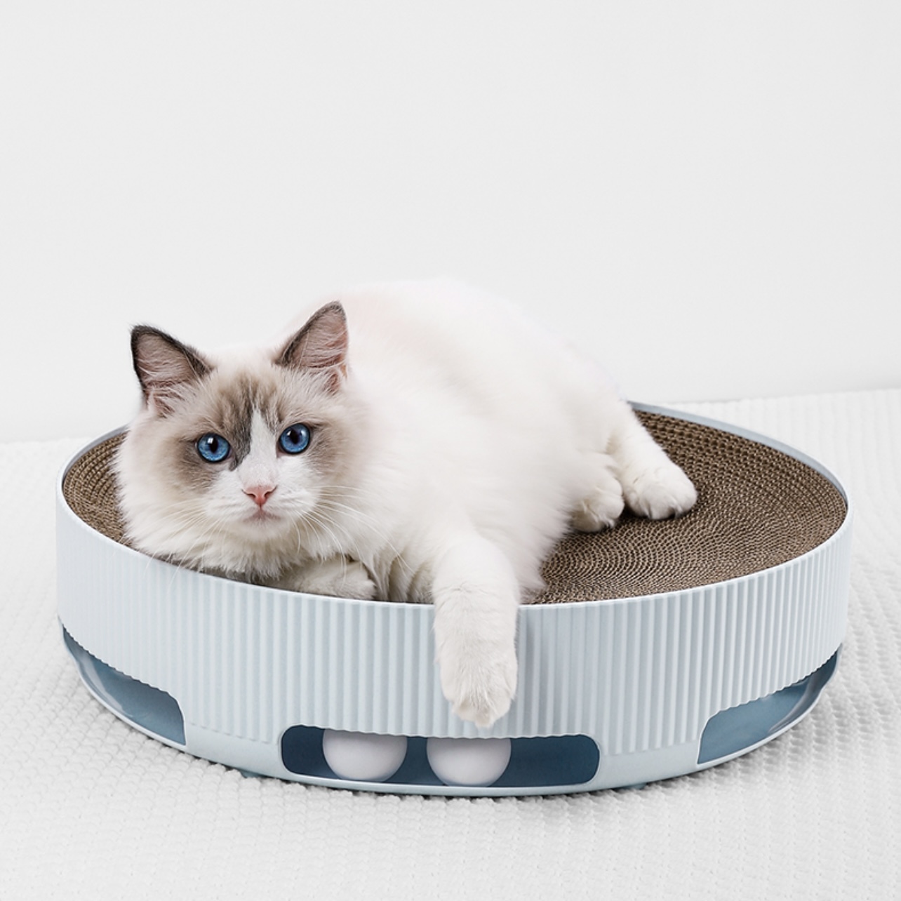 Petshy靈動貓抓板