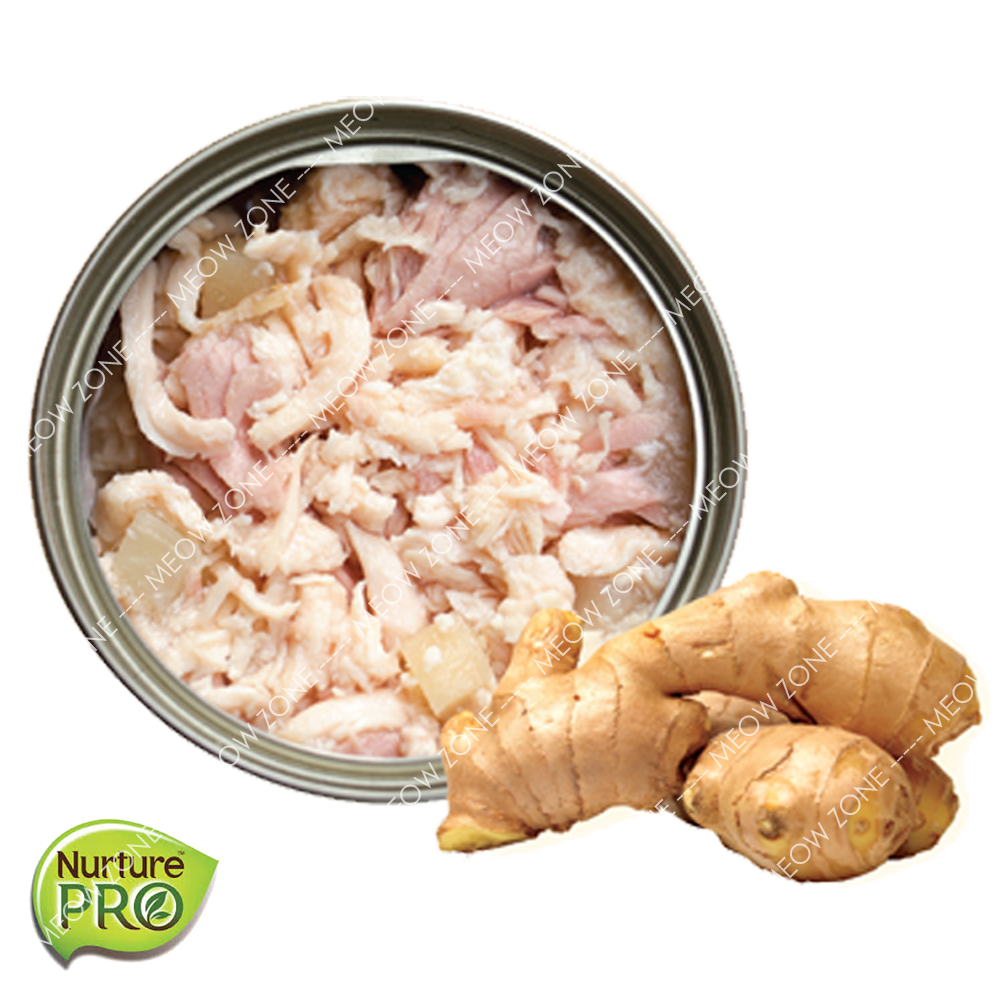 Nurture PRO Lysine 貓貓無穀物主食罐 - 生薑健胃