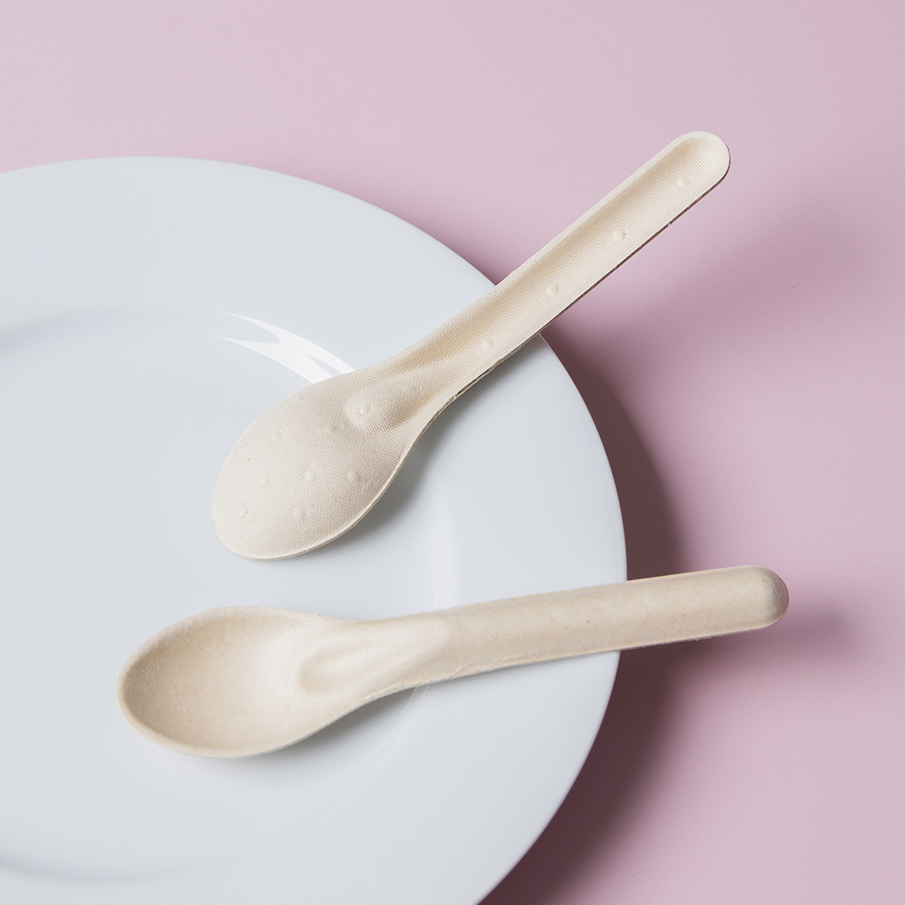 植纖餐匙