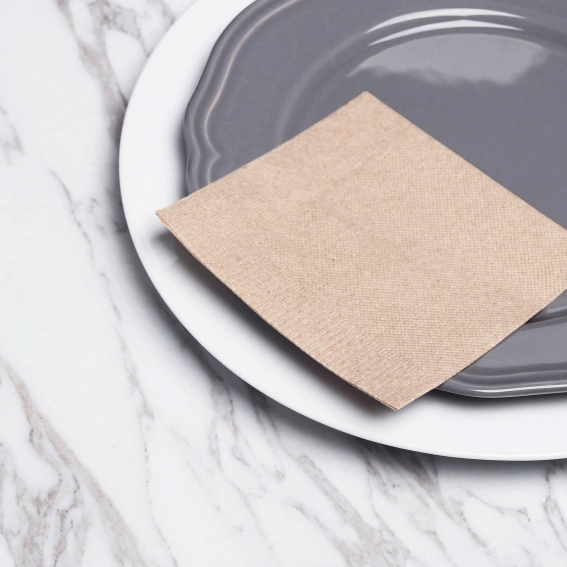 環保餐巾紙 23x23cm 原色