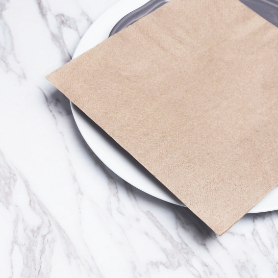 環保餐巾紙 40x40cm 原色