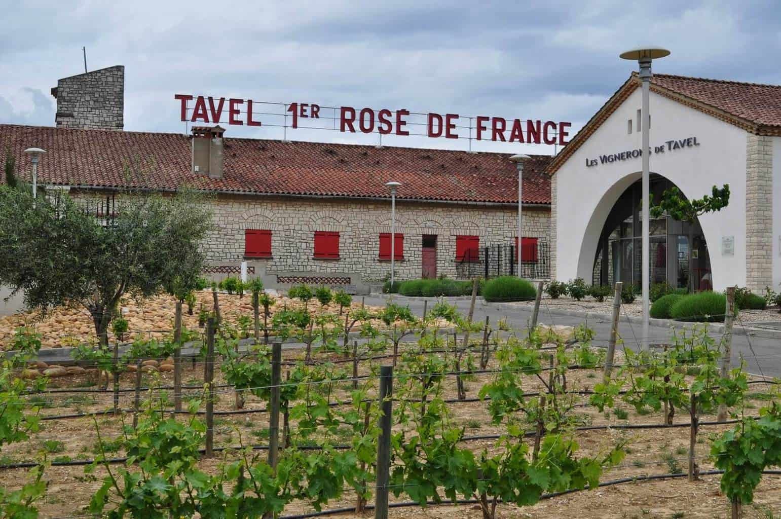 Tavel, Rose, Tavel Rose, The King of Rose, The Rose of King, French Rose, Provence, Rhone Valley