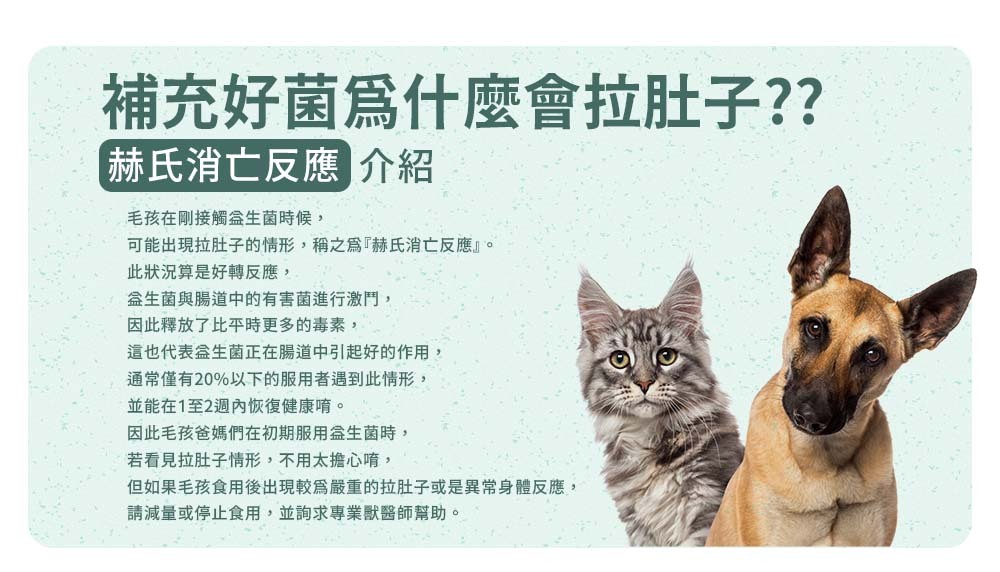 補充好菌為什麼會拉肚子，赫氏消亡反應介紹 好轉反應 益生菌與腸道中的壞菌進行激鬥 釋放了比平時更多的毒素 1至兩周內恢復健康 較嚴重的反應請減量或尋求獸醫師協助