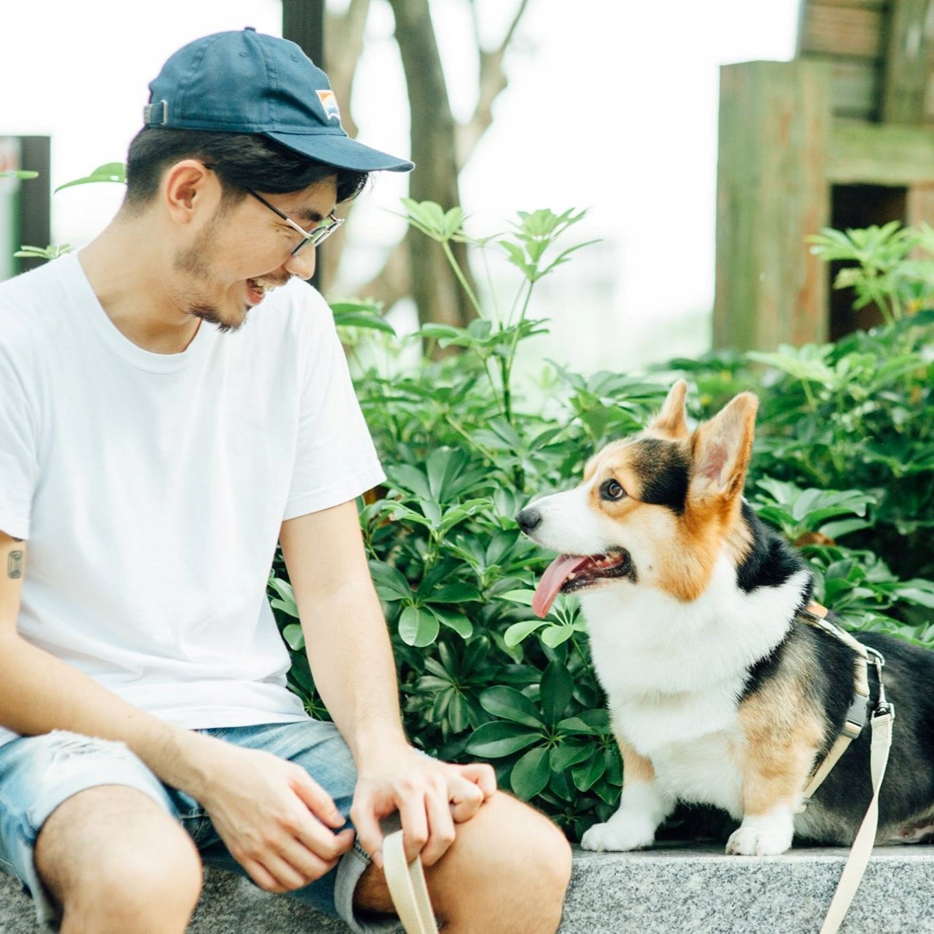 Tails & Me Leash 尼龍雙色拖帶 S~L．卡其抹綠