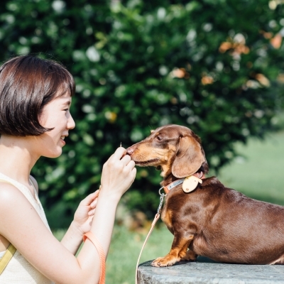 Tails & Me Leash 尼龍雙色拖帶 S~L．粉橘深棕