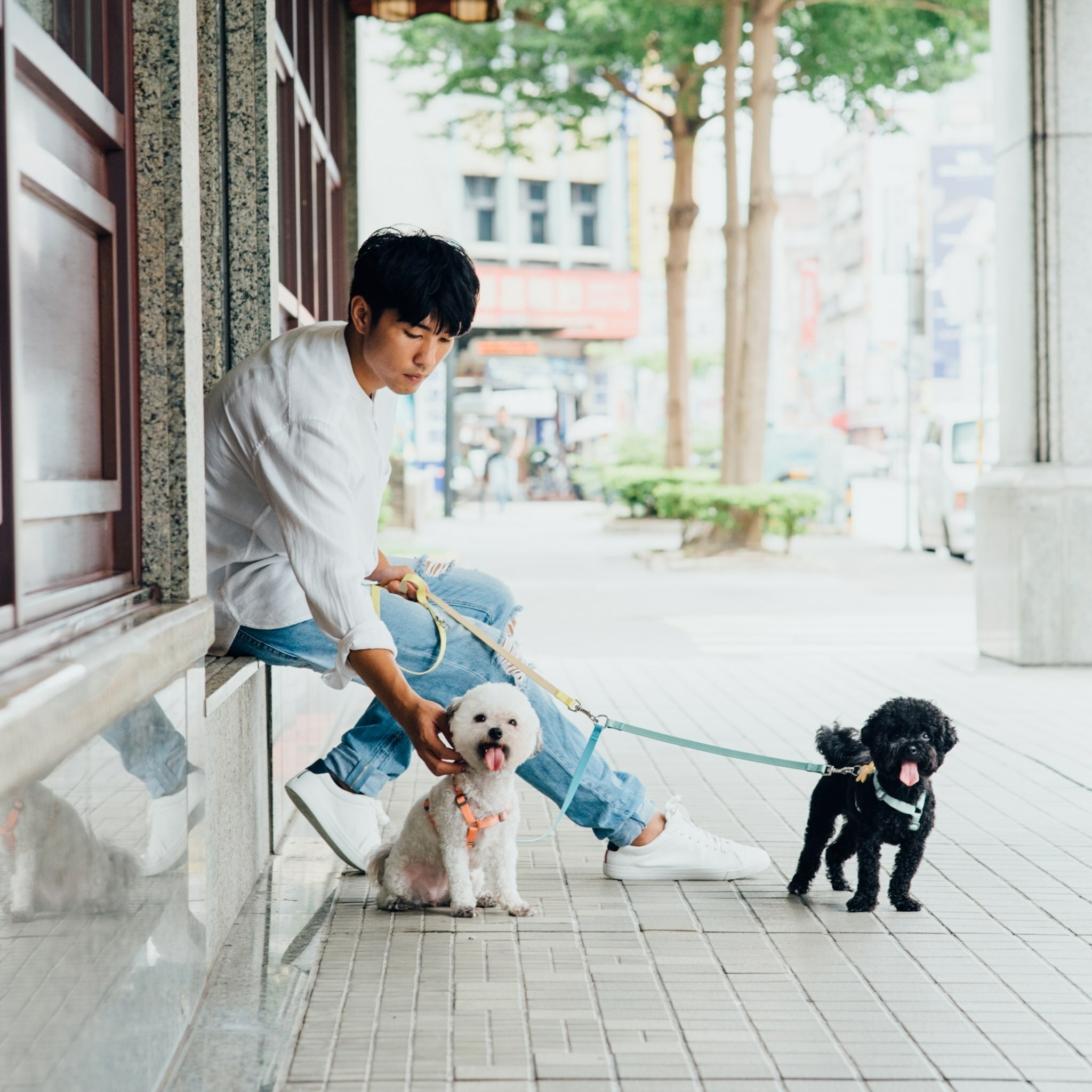 Tails & Me Duo Leash 尼龍一對二牽繩 S．多色