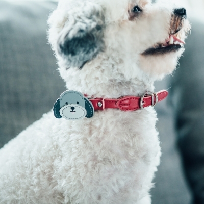 Tails & Me Accessories專屬配飾．POODLE GRAY