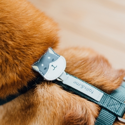 Tails & Me Accessories 專屬配飾 SHIBA BLACK