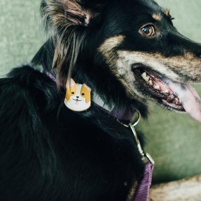 Tails & Me Accessories 專屬配飾 WELSH CORGI YELLOW