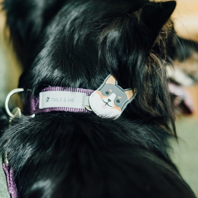 Tails & Me Accessories 專屬配飾 WELSH CORGI DARK GRAY