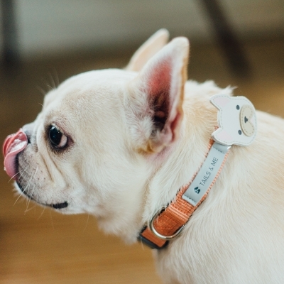 Tails & Me Accessories專屬配飾．FRENCH BULLDOG CREAM