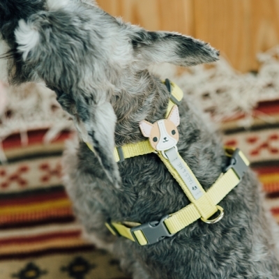 Tails & Me Accessories專屬配飾．CHIHUAHUA BEIGE