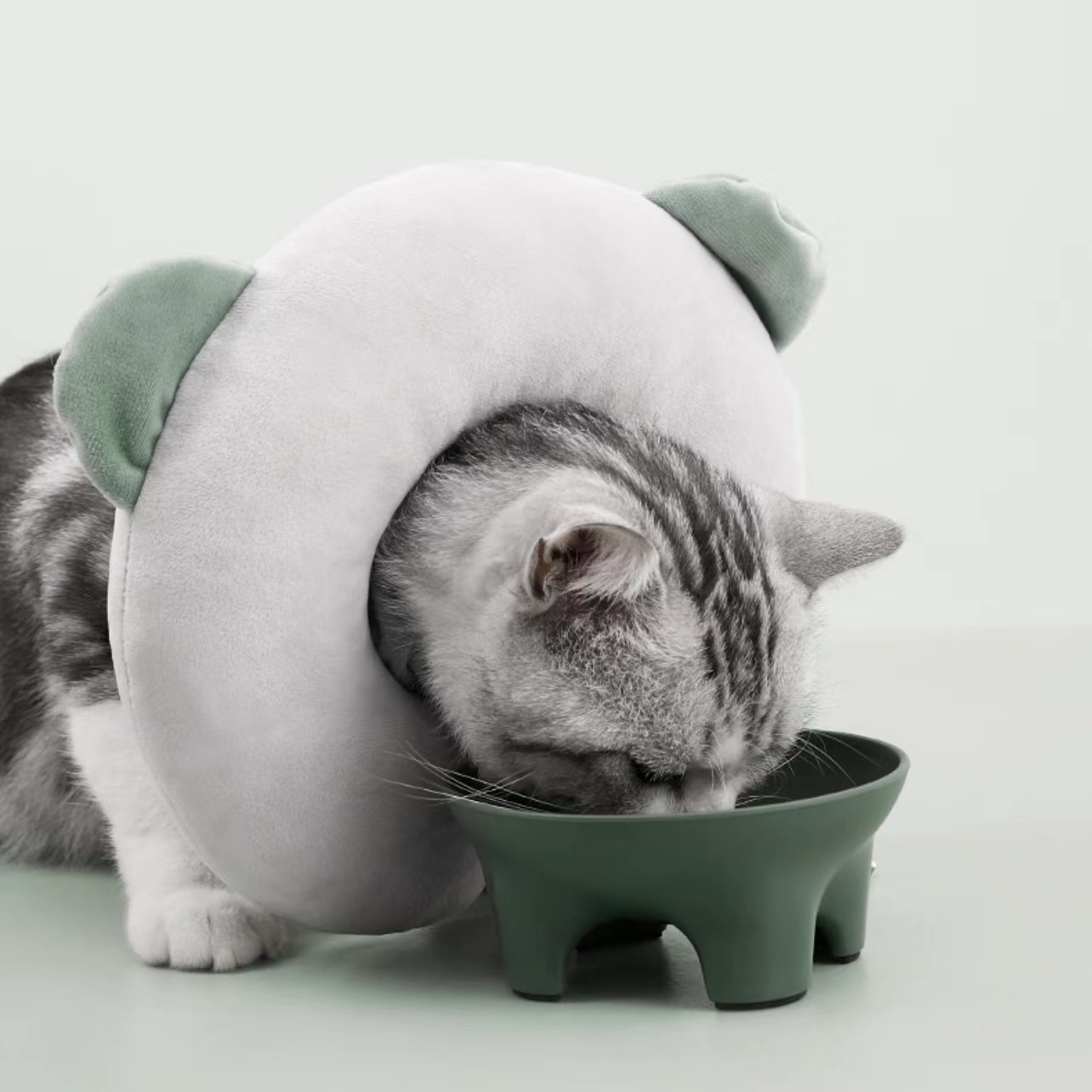 Petshy熊仔伊莉莎白頸圈