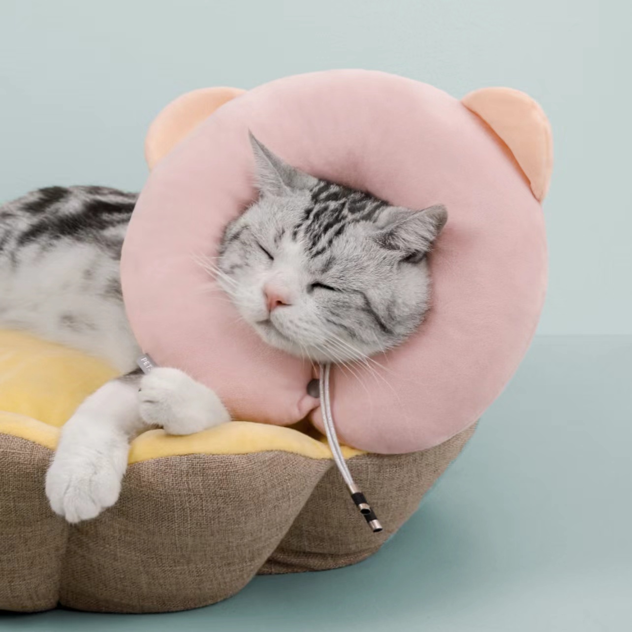 Petshy熊仔伊莉莎白頸圈