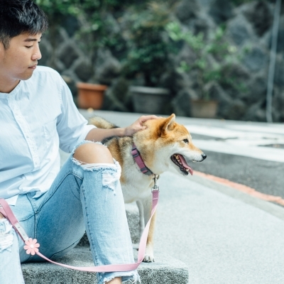 Tails & Me Accessories 專屬配飾 DAISY BLUSH