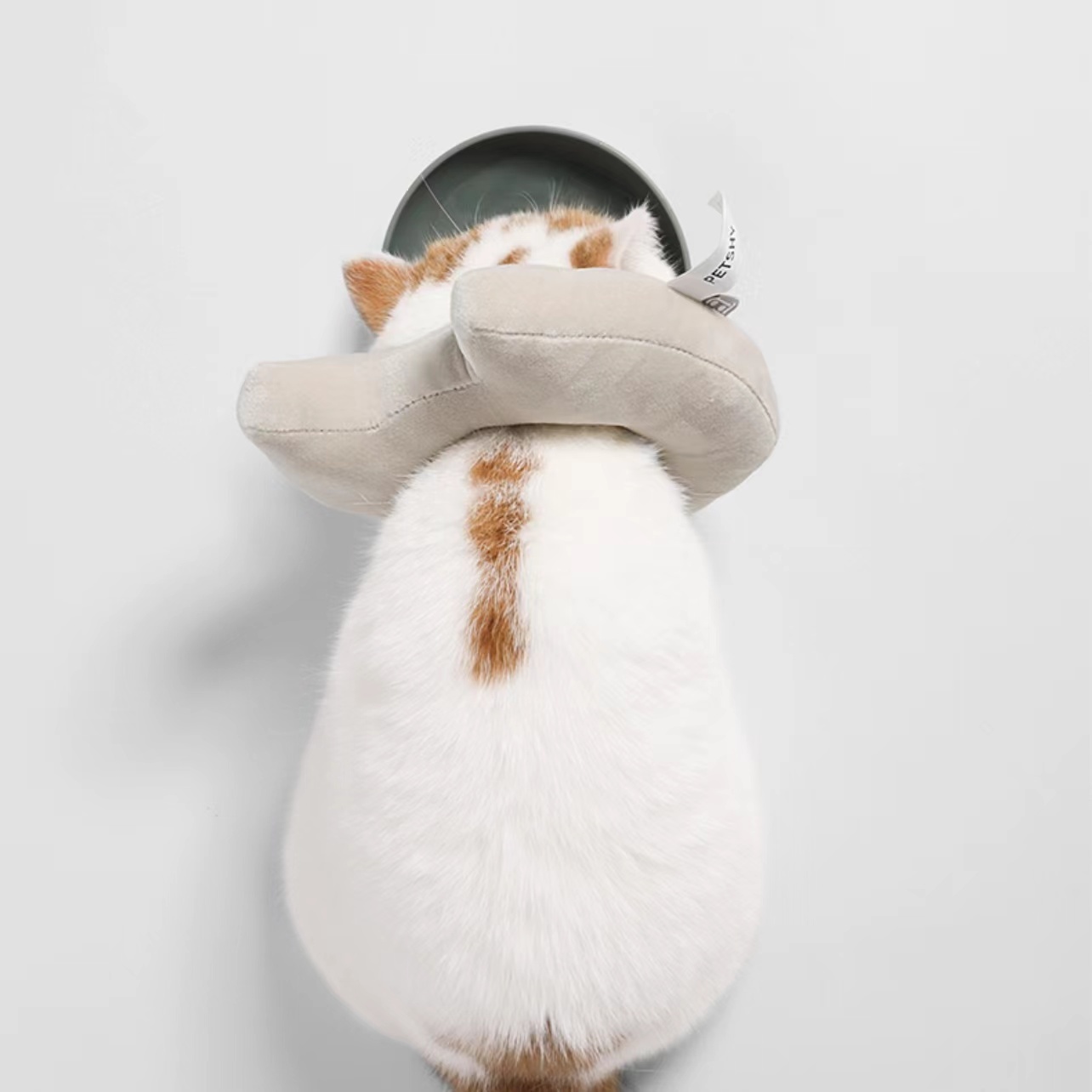 Petshy小惡魔伊莉莎白頸圈