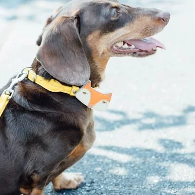 Tails & Me Accessories專屬配飾．FOX ORANGE