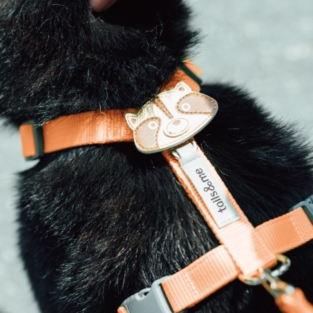 Tails & Me Accessories 專屬配飾 RACCOON BEIGE