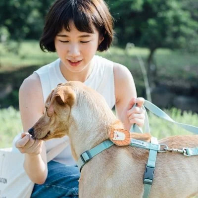 Tails & Me Accessories 專屬配飾 LION BROWN