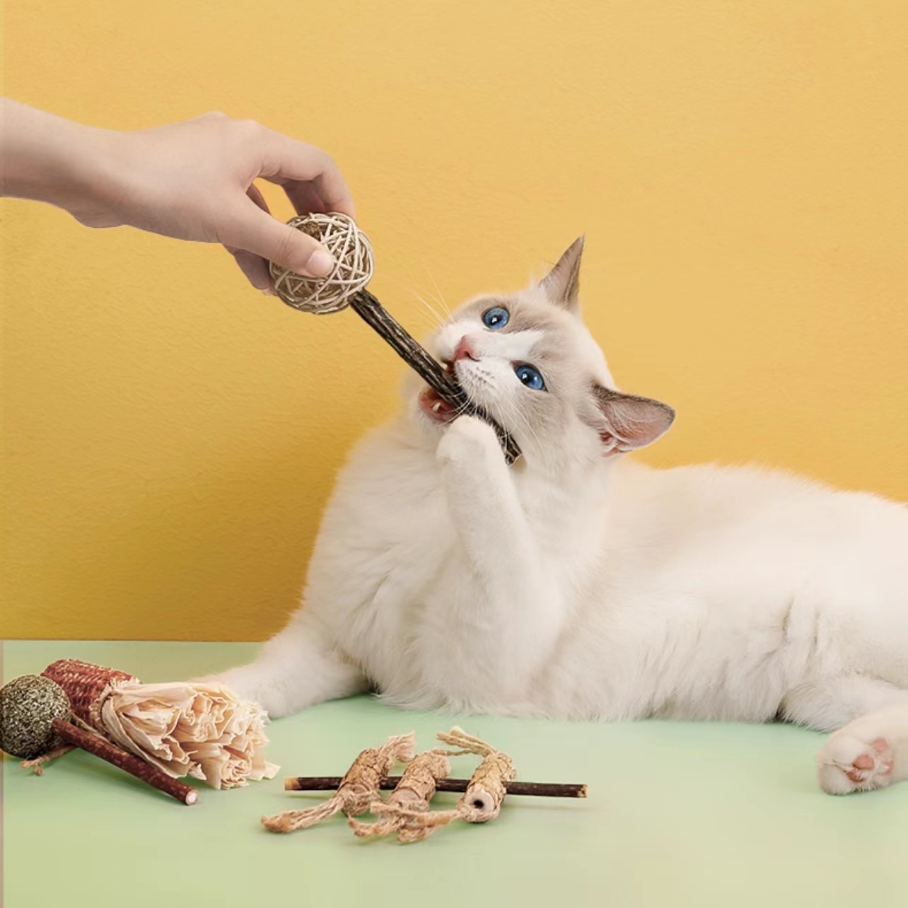 Petshy天然木天蓼玩具