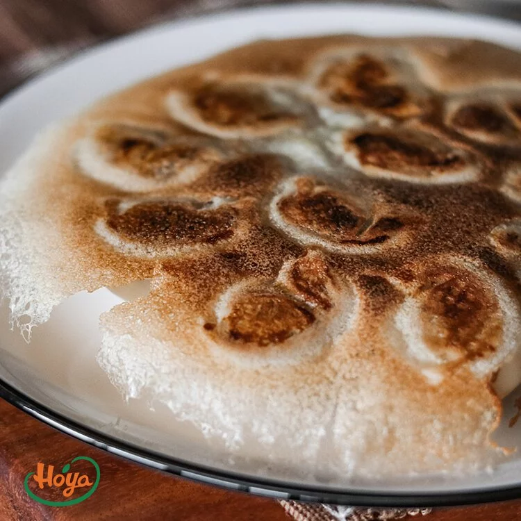 台灣植物肉水餃