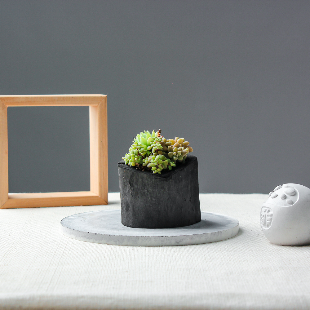 【需陽光】藝術炭盆栽－多肉［330］/調濕/消臭/美化/家飾/淨化空氣(含運)