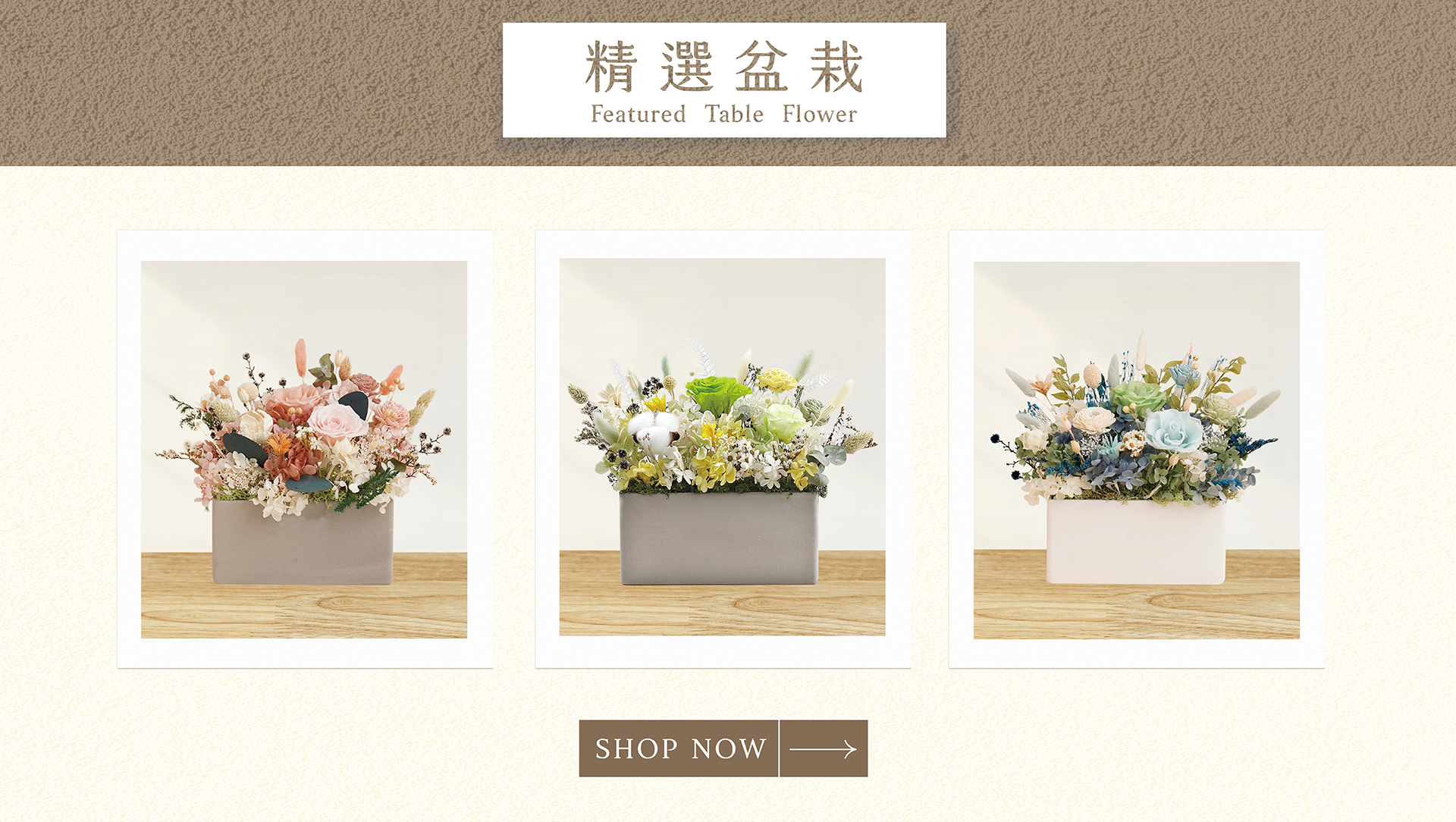 新竹乾燥花店小薇花藝隆重推出「精選開幕盆栽排行榜」！熱銷的乾燥花開幕盆栽有哪些呢？快點買一盆作為開幕賀禮吧！祝各位老闆生意興隆、財源滾滾！