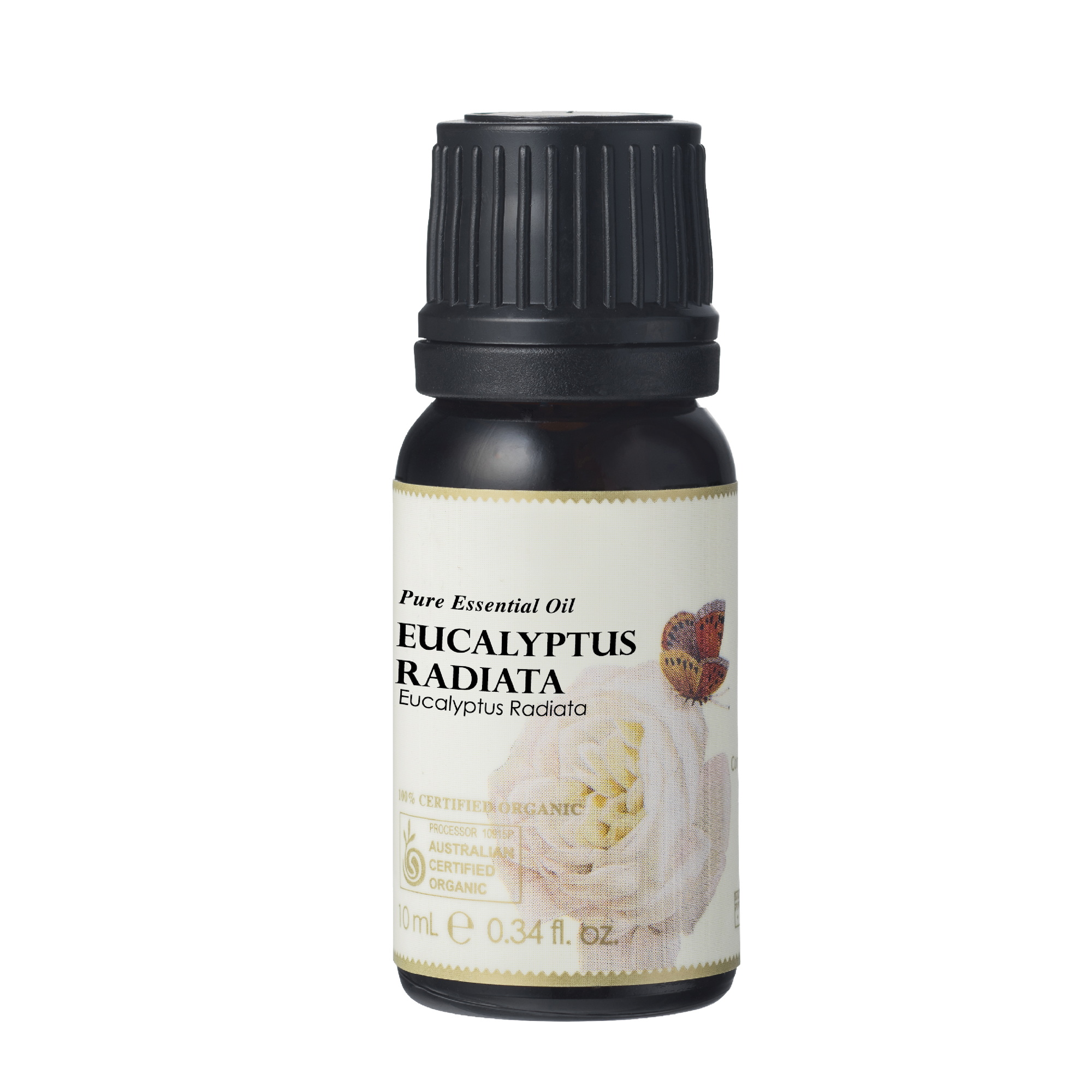 澳洲尤加利精油