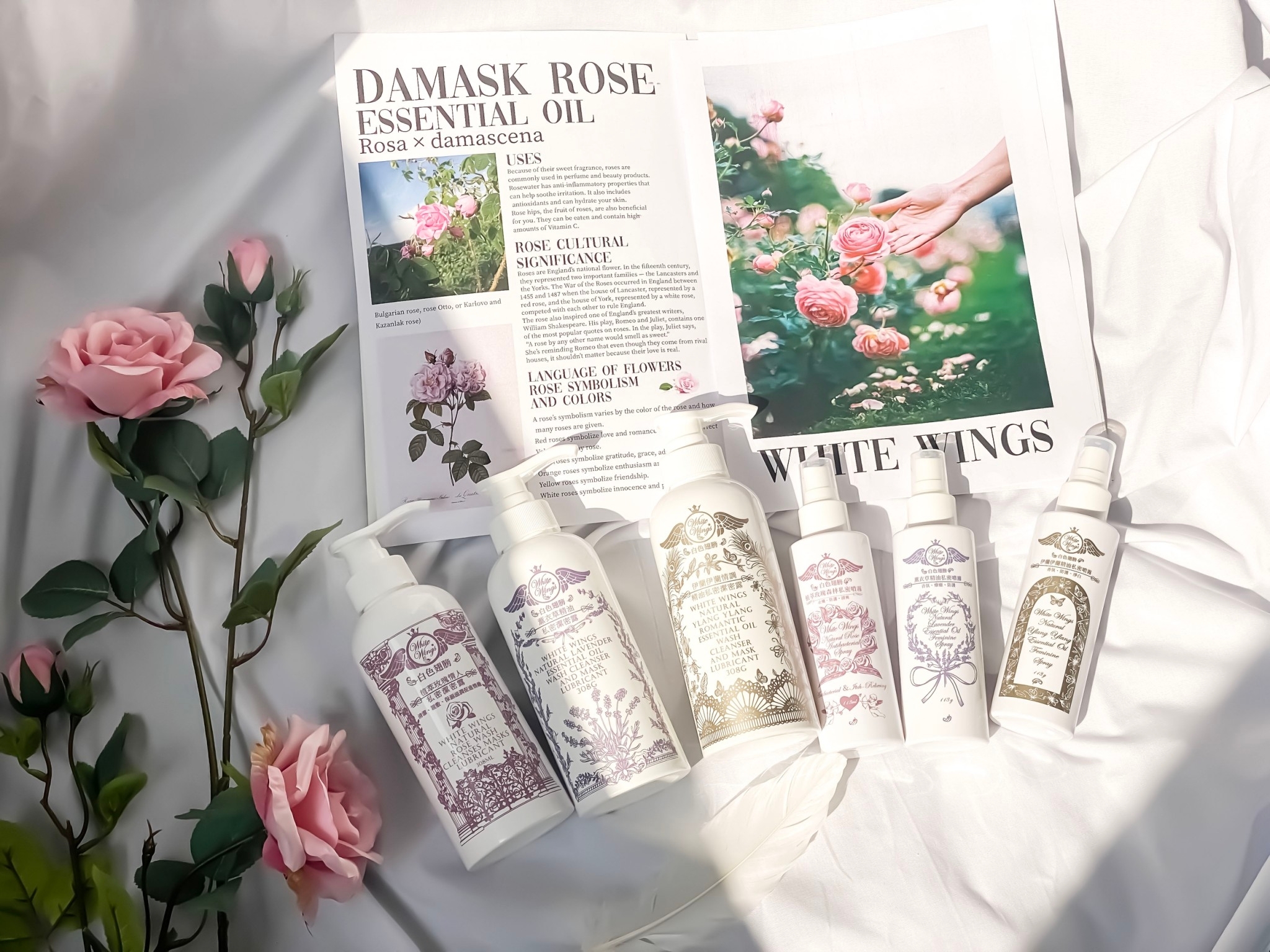 如何去除體味？快速、簡單的解決方案，讓你不在尷尬！女孩必學！