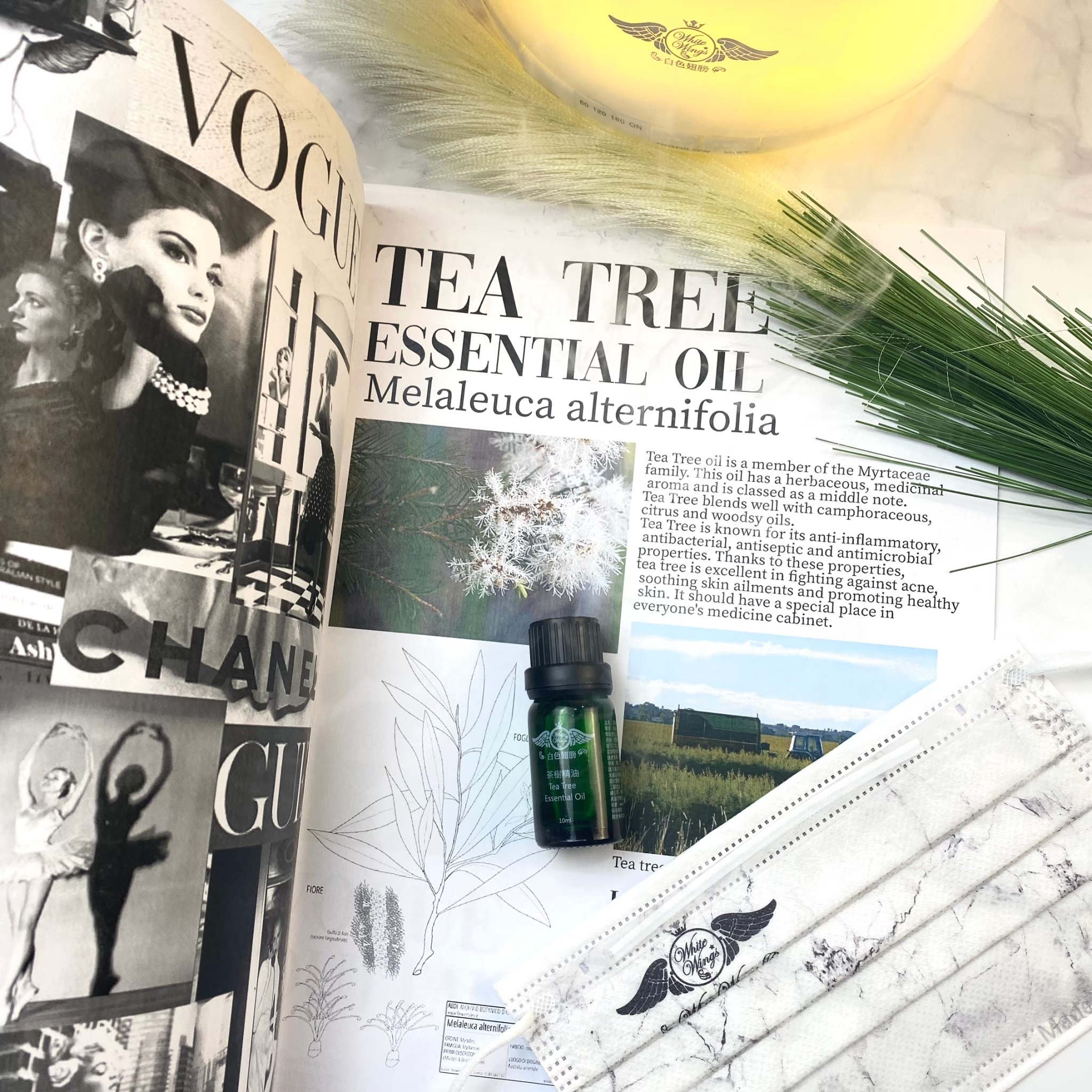 情人蜜體保養計畫，男孩女孩必備的自信秘密武器！