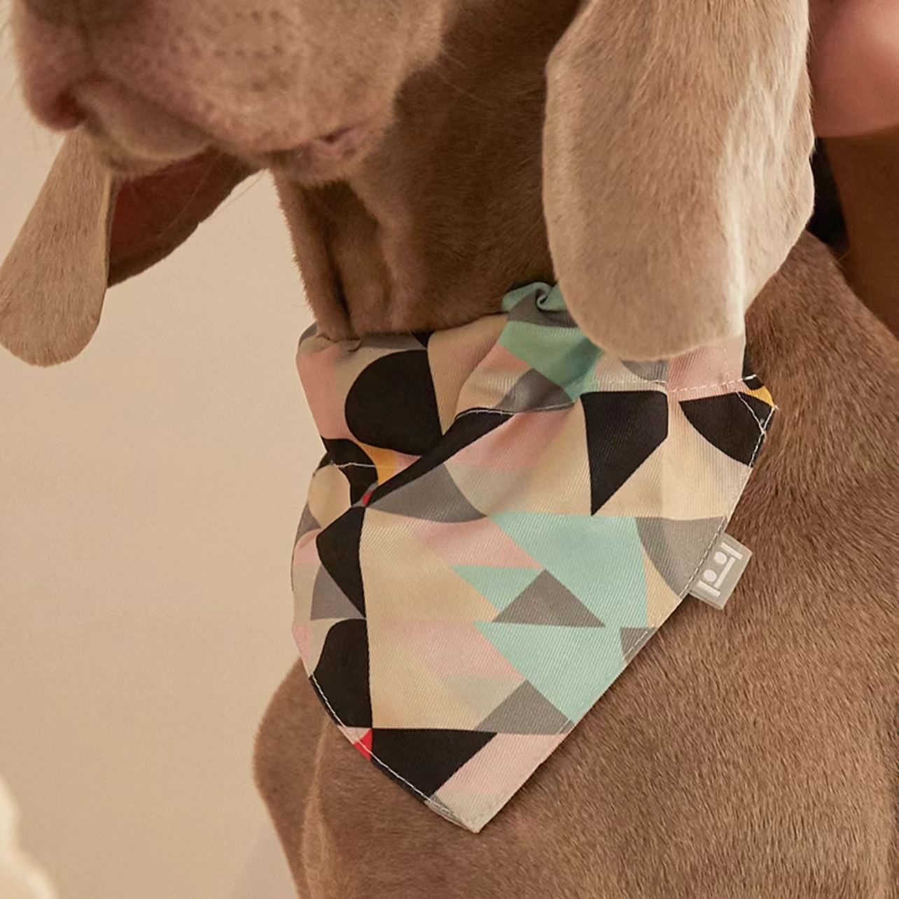 Petshy狗狗三角巾