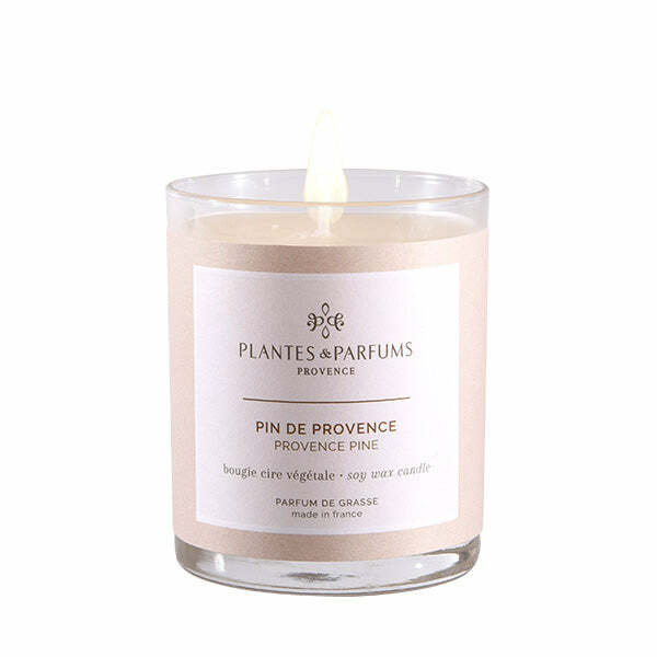 Plantes & Parfums  香薰工藝蠟燭  - Provence Pine 普羅旺斯松 180g
