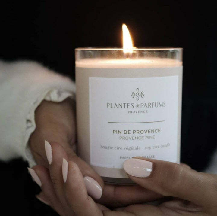 Plantes & Parfums  香薰工藝蠟燭  - Provence Pine 普羅旺斯松 180g